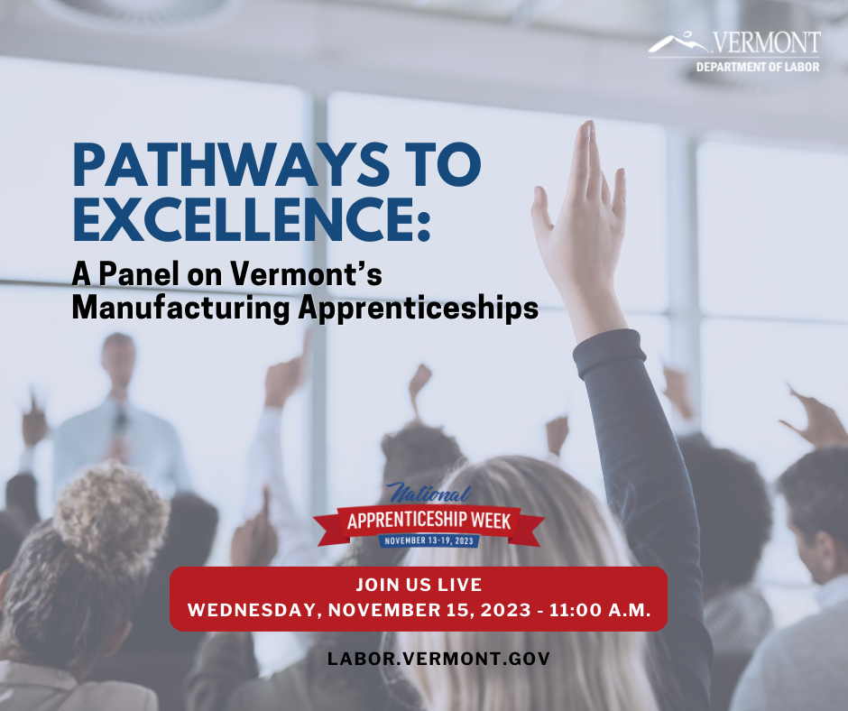Pathways to Excellence Panel Flyer